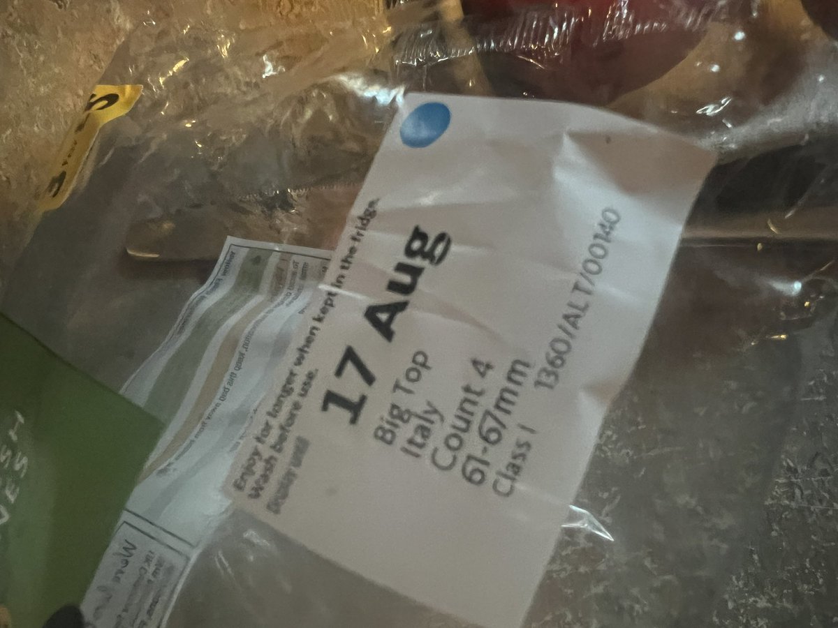 Bought 3 packs of nectarines from <a href="/Morrisons/">Morrisons</a> and they all have mouldy fruit in them like this. Took them back and can’t get a swap because I didn’t get a receipt. Disappointed ☹️