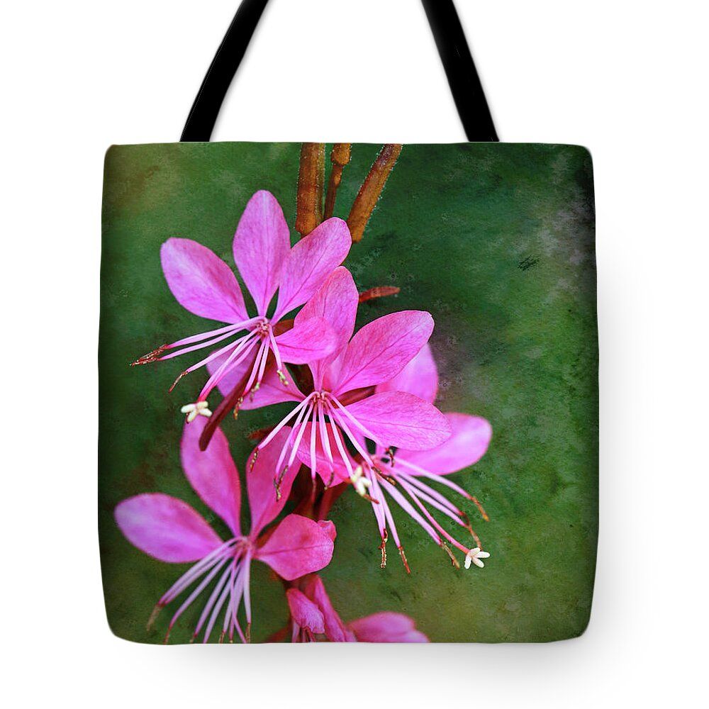 JudyVincent74's tweet photo. Lindheimer's Beeblossom #totebag Available in 3 sizes #travelbag #bookbag #beach #PoolBag #swimming #flowers #travel #giftideas #BuyIntoArt #JudyVincentPhotography
Available here ---> https://t.co/2QtITTGDCq https://t.co/qLxCB7Trwm