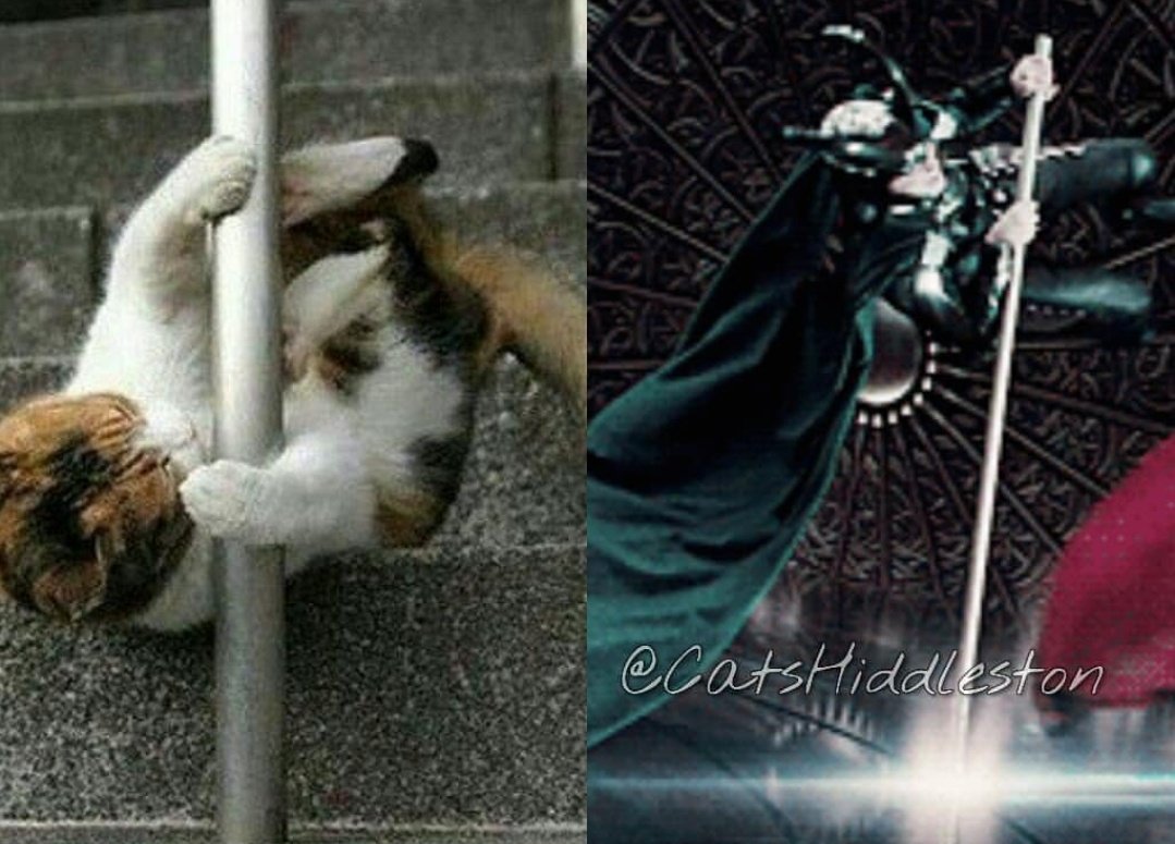 CatsHiddleston's tweet photo. Sexy #poledance #TomHiddleston https://t.co/2x32zMSXjL
