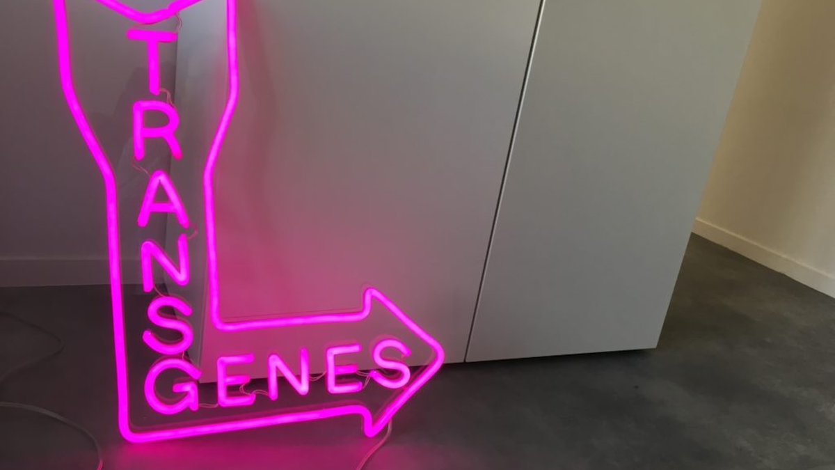 Felt enterprising so I made a new personal website: wintermute.bio 

Working on cool biology? I can help you build it, scale it or sell it. Hire me for something and together we’ll be the world’s greatest biohackers