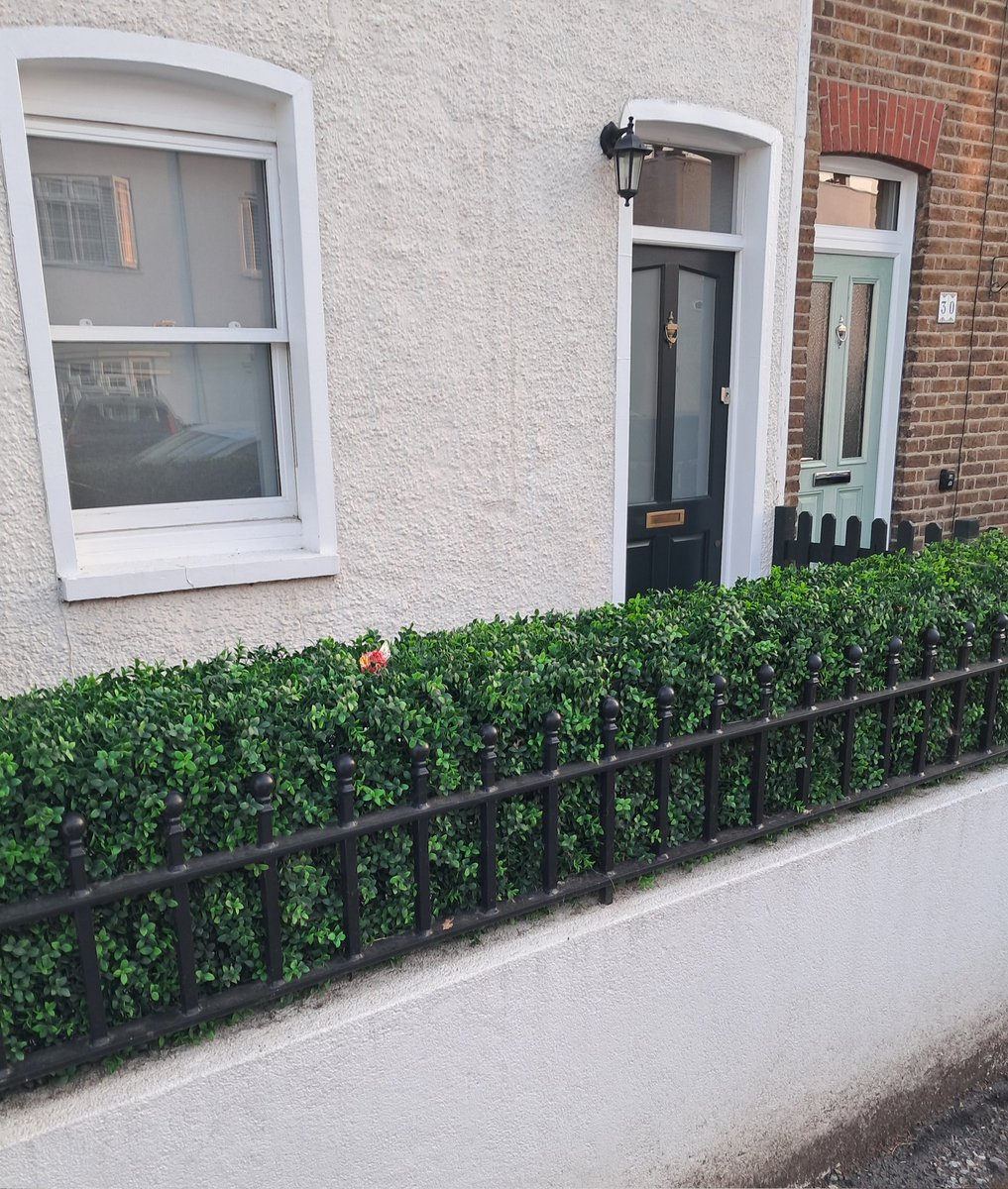 Plastic, because growing a real privet hedge is SO difficult.