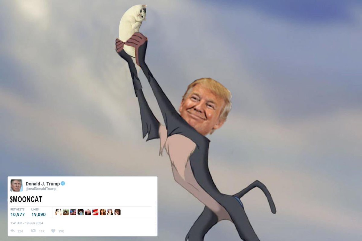 mooncatonmoon's tweet photo. @moonshot https://t.co/3NWxMlz9CL