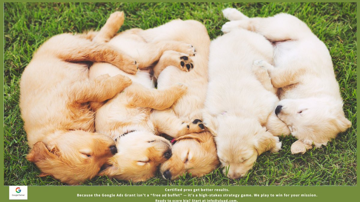 UluadM's tweet image. Certified pros get better results.
Because the Google Ads Grant isn’t a “free ad buffet” — it’s a high-stakes strategy game. We play to win for your mission.
Ready to score big? Start at info@uluad.com.
#CertifiedProfessionals
#GoogleAdsense
#nonprofit