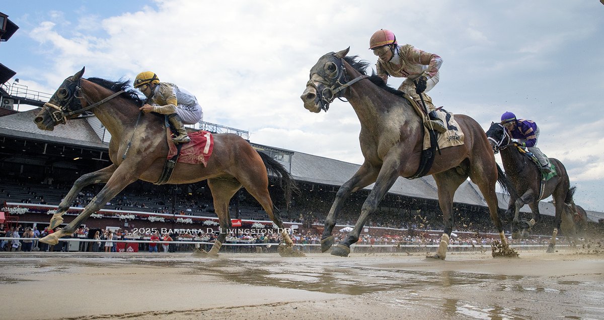 MAKES SENSE (Street Sense - Pure Poison, by Honor Code) won today's 4th race at Saratoga. The 3-year-old Bruce Brown trainee was ridden by Luis Saez.

Ranger Battalion was second, Bear Claw Necklace third.

The winner paid 13.80.