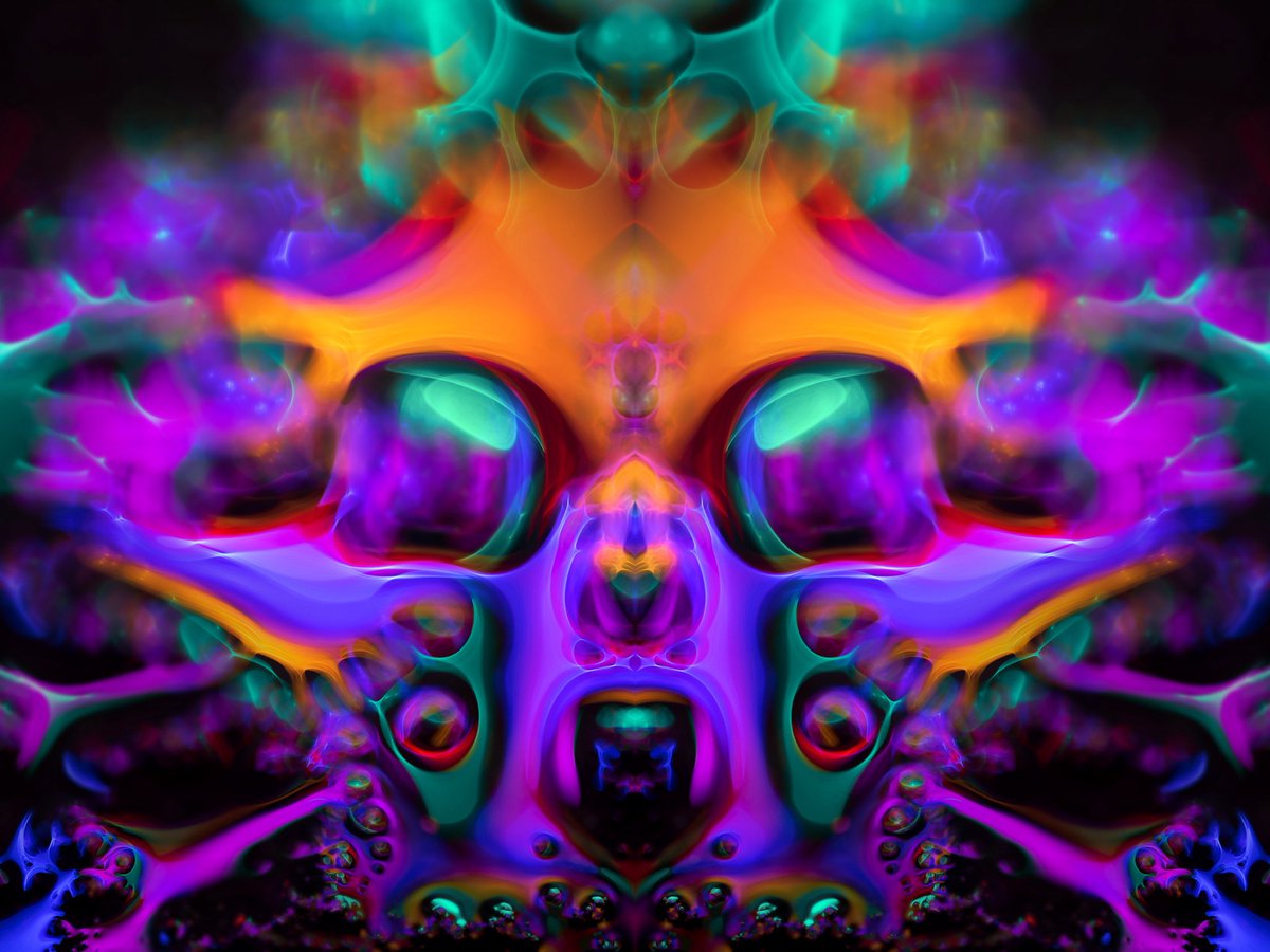 The Camera  🤝  The Photographs