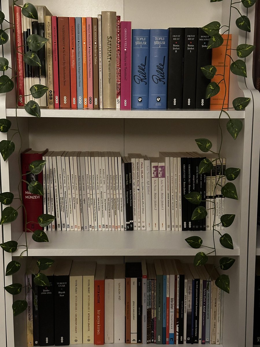 c2 seviye şiir kitabı bağımlılığı