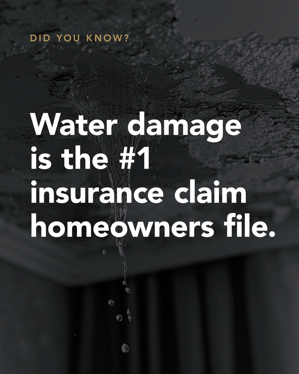 PDNorthland's tweet image. 💦 Water damage has the worst timing. 💦

📞 Call us anytime. We’re here when you need us most.
#WaterDamageHelp #RestorationTeam #WeArePaulDavis #AlwaysReady #WhenThingsGoWrongWeDoWhatsRight