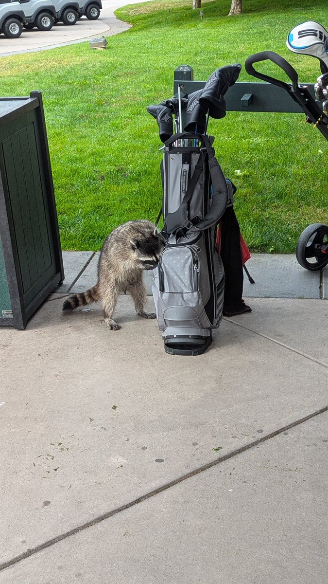 My dude is just looking for a Pro V1.