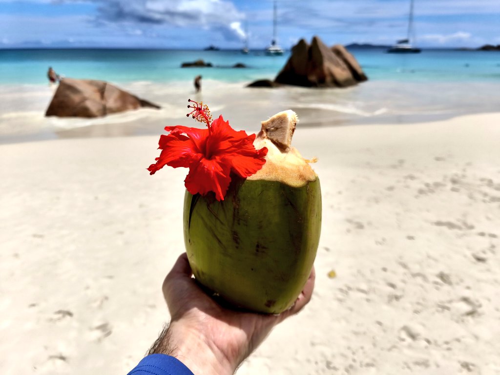 GuiaLowCost's tweet photo. 🌴 Anse Lazio #Praslin #Seychelles https://t.co/b1MqZL3lOo