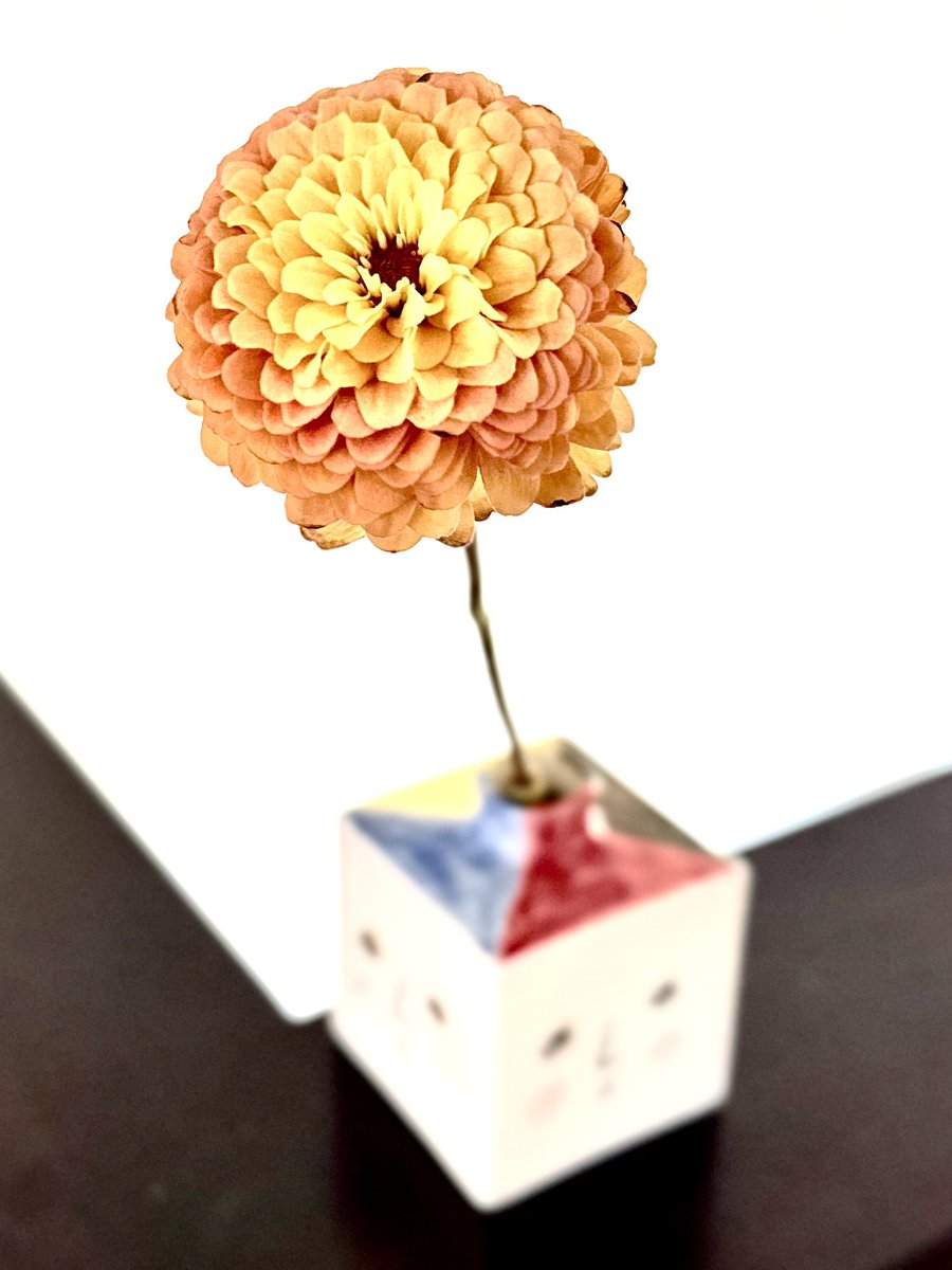 ebun3's tweet photo. 【ギネス珈琲豆移動】
★記録50粒🫘
挑戦1151日目
世界記録48粒
956回目の達成
美須々の杜のモール
繋がり
クラス会
繋がり
#湯澤かよこ
#nunoitoasobi
#litte_mitasu
#ridere_kamisuwa
#olde
#昨日食った汁蕎麦たき山の蕎麦美味かったな https://t.co/w7ZQGK0wwn