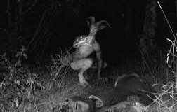 🇫🇷 DÉBAT | Croyez-vous au monde invisible (jinns, sorcelleries, esprits, âmes, démons, fantômes, possessions, etc.) ?

Avez-vous une anecdote ? 🥶