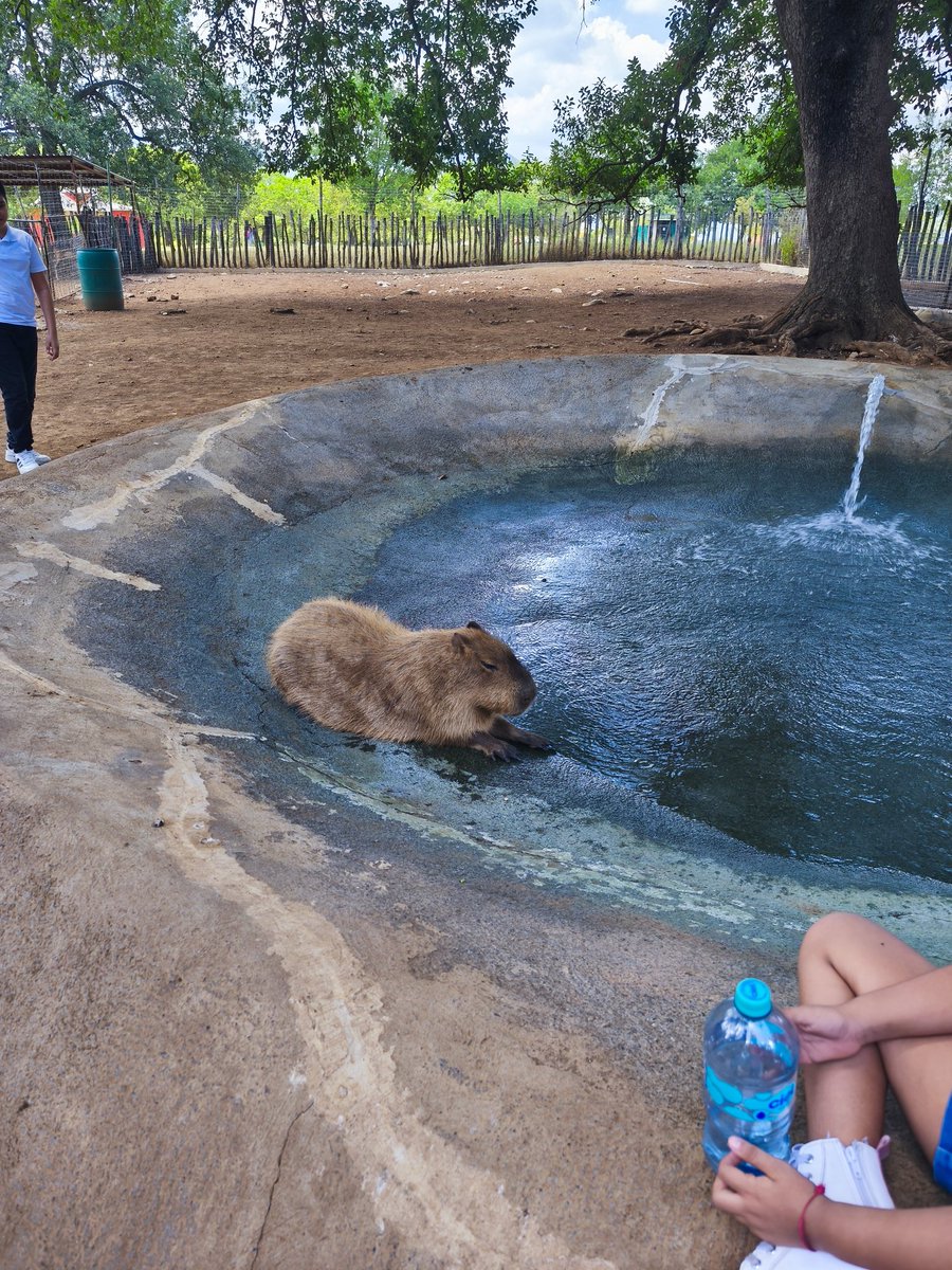 Alguien anda en un congreso😁🫢😆😁