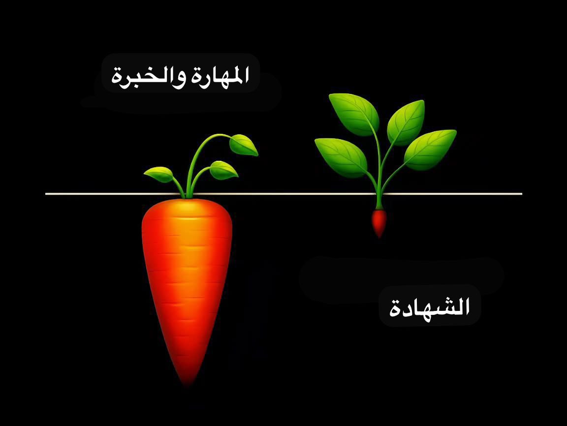 🔺كمستفيد من المختص أو الموظف أنت لا تعنيك شهادته أو الجامعة التي تخرج منها، بقدر ما يهمّك أداؤه ونتائجه، لذلك يكون تركيزك على مهاراته وخبراته أكثر من شهادته.
🔺لكن بشكل عام، الشهادة هي ما يفتح الباب للموظف، بينما المهارة والخبرة هما ما يبقيه في المنافسة ويمنحه فرصة للعمل.