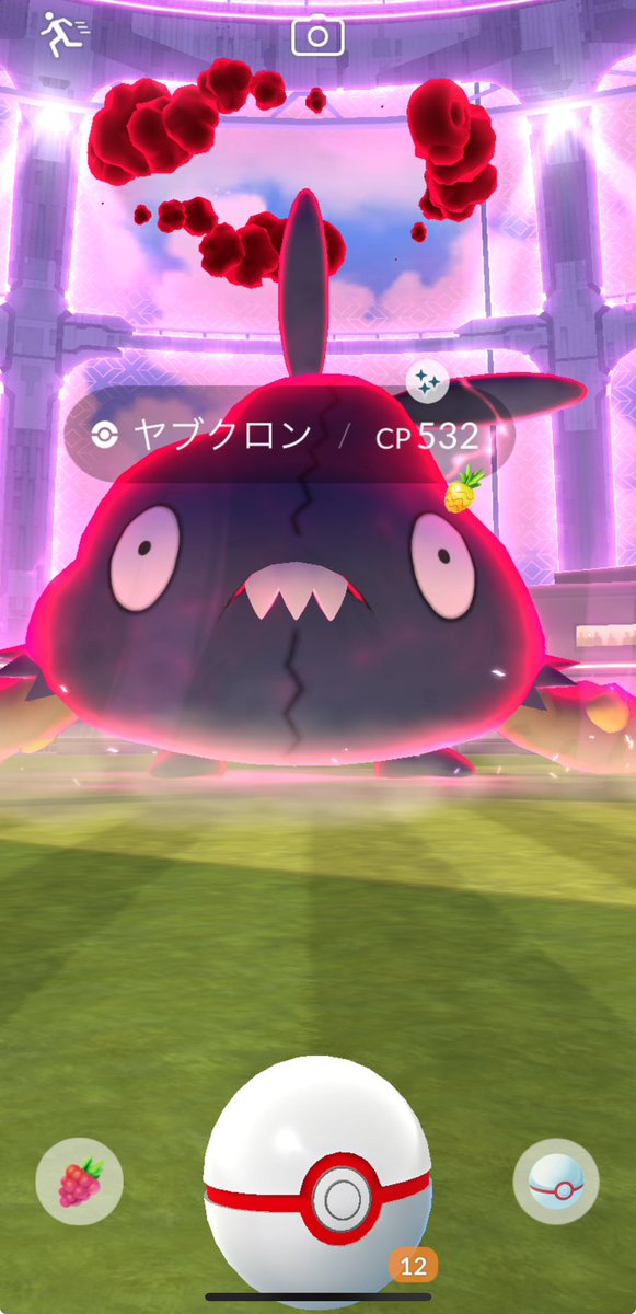 Ryojin4944's tweet photo. 色違いぃぃヤブクロン！！
しかもダイマックスやん
#polemongo#ヤブクロン https://t.co/GXEvQVcR4P