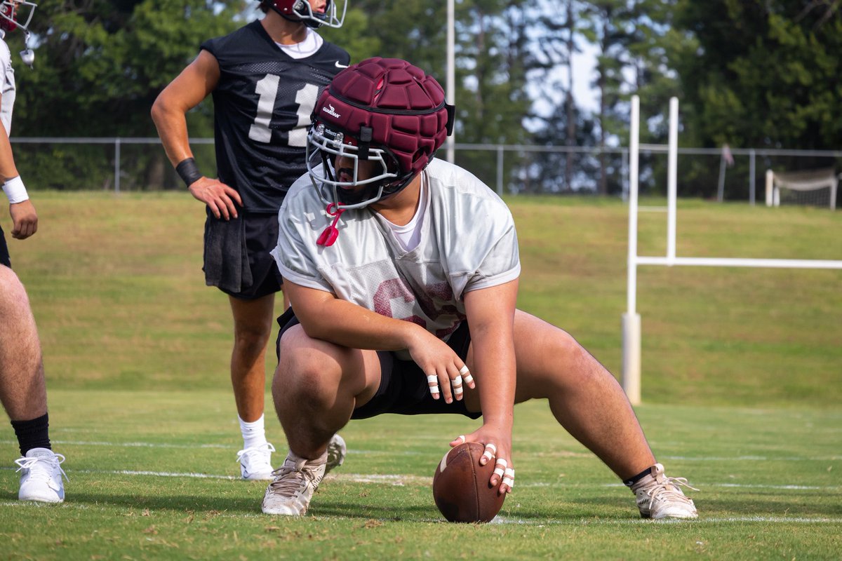 First Day Out 📸 #ROLLTIGERS #TIGERBALL #TIGERFAMILY