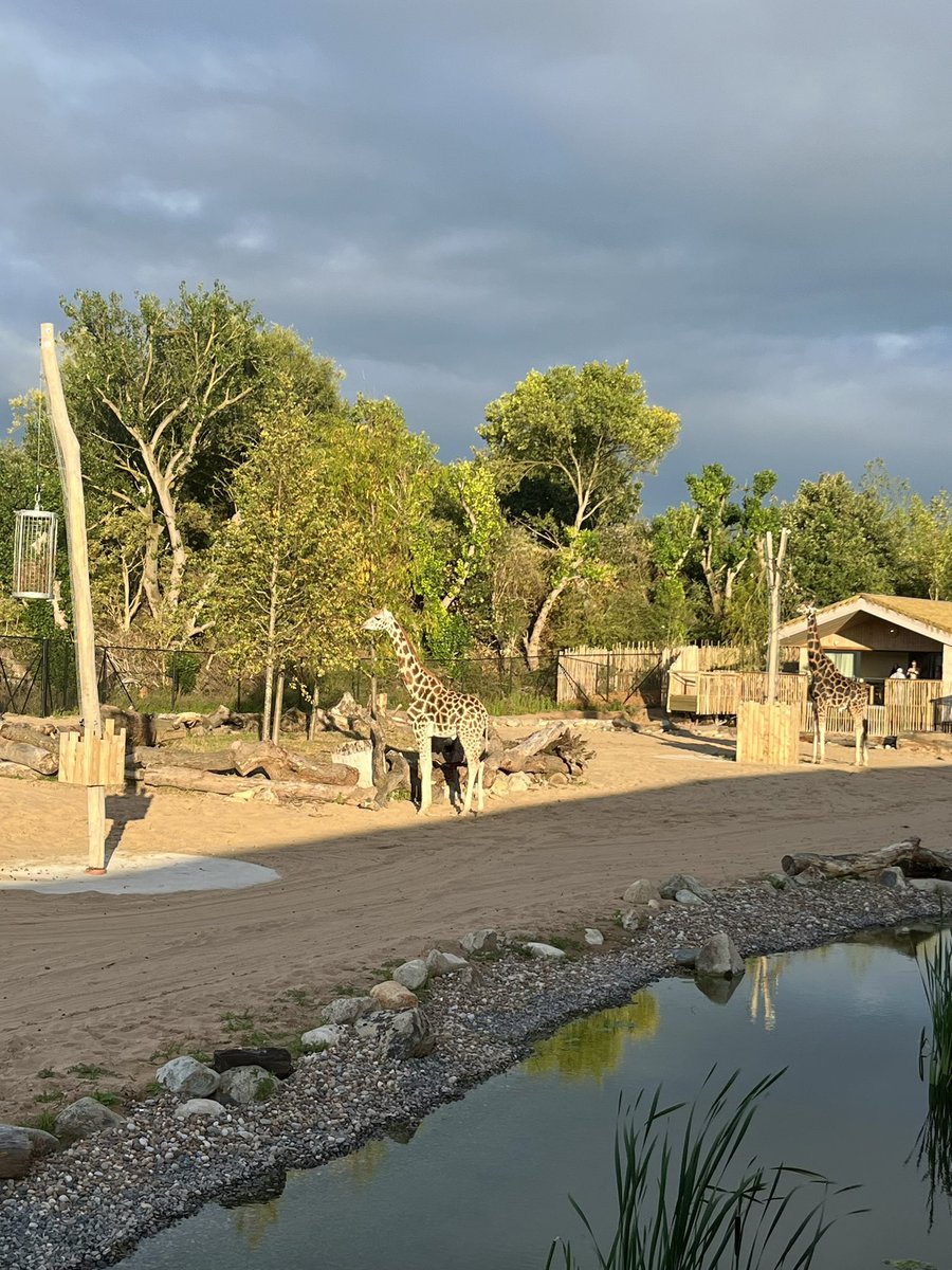 Simon Eardley tweet media