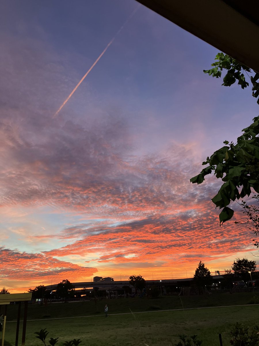 08.15(fri.)&amp;16(sat.)

おやすみ頂きます。

どうぞ宜しくおねがいします🍐