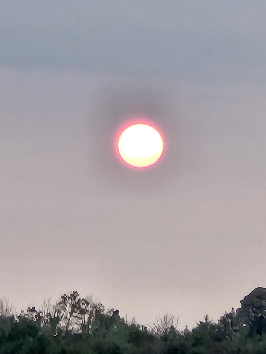 david cawley tweet media