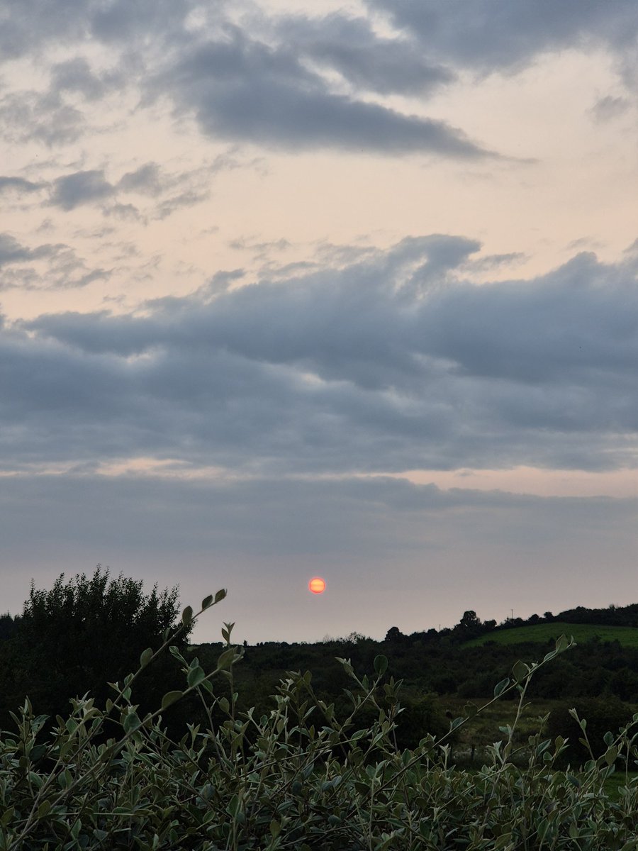 david cawley tweet media