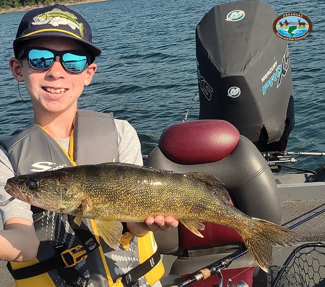 Arkansas Game and Fish Commission (@argameandfish) on Twitter photo Arkansas Wildlife Weekly Fishing Report
August 14, 2025
🎣 bit.ly/4lqvps4
Harrison Sullivan of Rogers landed his very first walleye while fishing on Bull Shoals Lake recently. He was guided by Steve Gaston from Southern Walleye. Arkansas Wildlife Weekly Fishing Report
August 14, 2025
🎣 bit.ly/4lqvps4
Harrison Sullivan of Rogers landed his very first walleye while fishing on Bull Shoals Lake recently. He was guided by Steve Gaston from Southern Walleye.