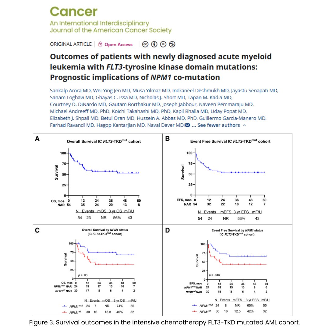 Newly published, #OpenAccess: In FLT3-TKD mutated acute myeloid leukemia, NPM1 co-mutation links to better survival. Patients without it face worse outcomes &amp; may benefit from early stem cell transplant.

Read on: acsjournals.onlinelibrary.wiley.com/doi/10.1002/cn…

<a href="/OncoAlert/">OncoAlert</a> <a href="/DrHKantarjian/">Hagop Kantarjian,MD</a> <a href="/Daver_Leukemia/">Naval Daver, M.D.</a>