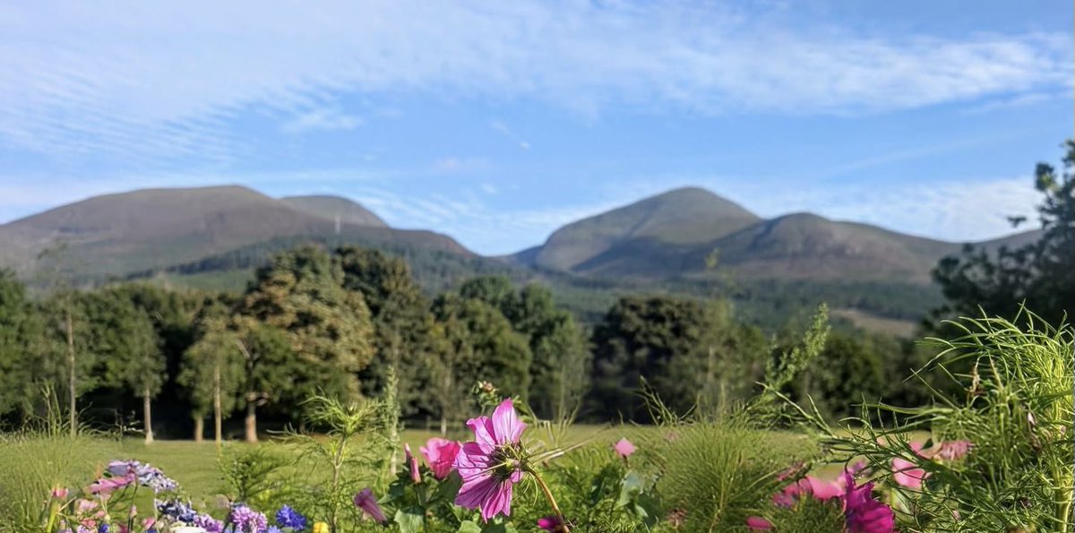 ACVDW's tweet image. Views for miles 😍