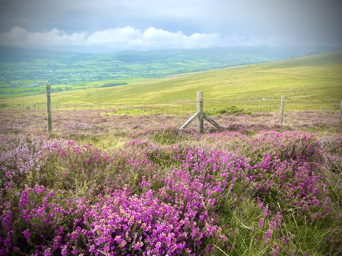 ACVDW's tweet image. Views for miles 😍