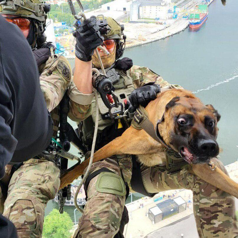Not a fan of flying huh

"Polish SPKP operator preparing for a helicopter descent with his not so keen service dog."