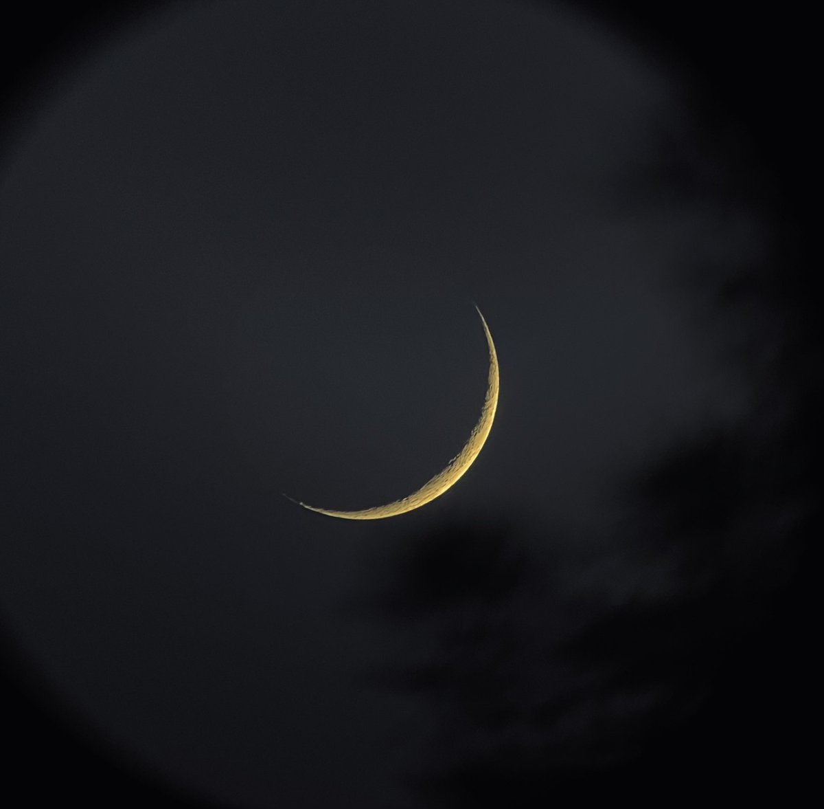 fly me to the moon ~