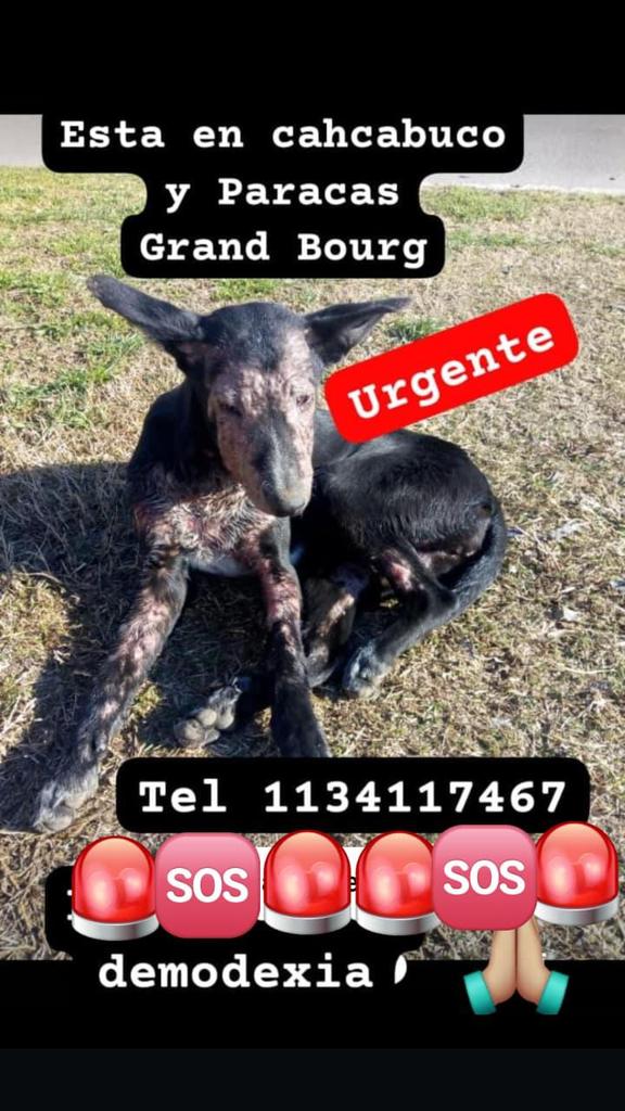 Rt
Ayuda urgente!!!
Para llegar a esto????