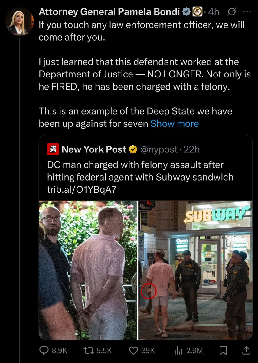 A guy in dad shoes that chucked a 6-inch sweet onion chicken teriyaki at a cop being called The Deep State™️ is the funniest possible outcome of the Boogeyman politics Republicans have governed with the past decade. It’s perfect and beautiful.