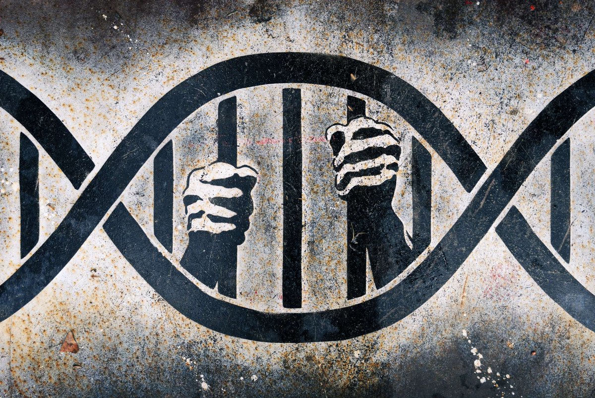 36 years ago, Gary Dotson became the first person in the world exonerated by DNA . His case was a turning point for the criminal legal system and the innocence movement. Since then, hundreds of innocent people have been exonerated based on DNA evidence.