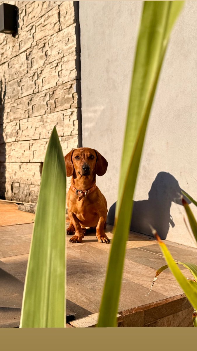 • ᴠɪᴛᴀᴍɪɴᴀ ᴄ •