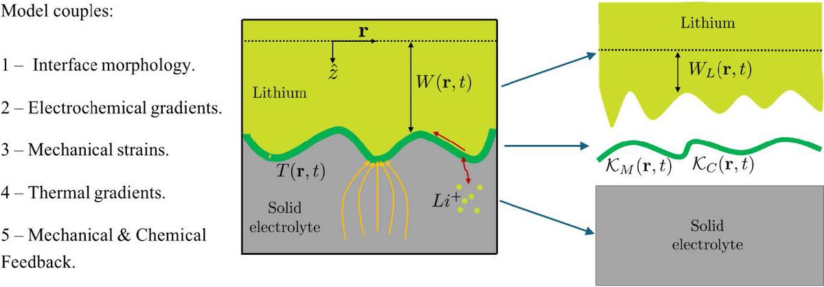 TheSIAMNews's tweet image. On the SIAM News blog, Salem Al Mosleh illustrates the way in which principles from the #physics of leaf growth can inform the design of flat, stable #electrochemical interfaces in next-generation solid-state #batteries. Read more here! siam.org/publications/s…