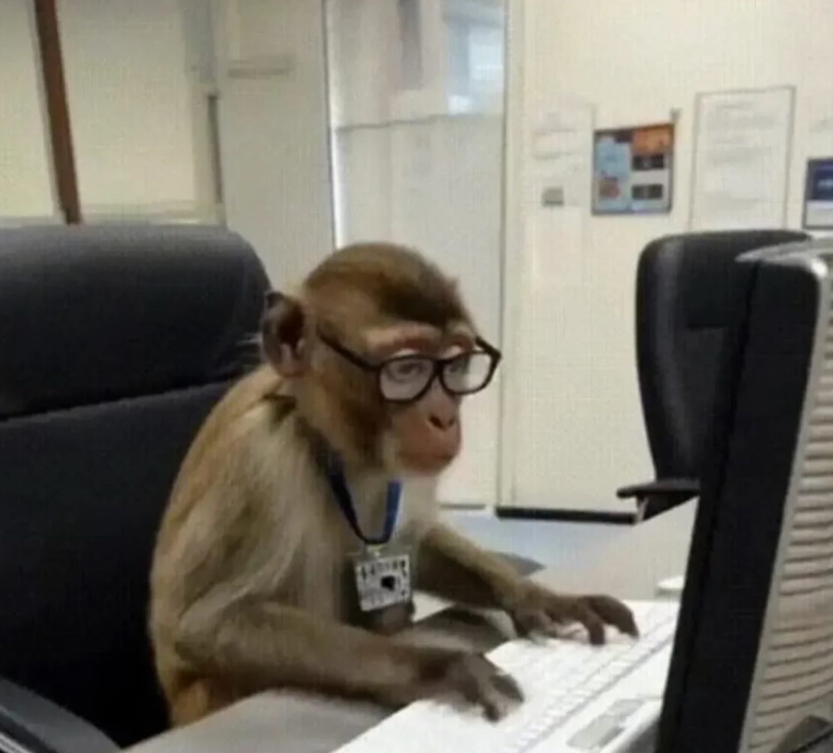 Guarromantico_'s tweet image. Yo en mi primer día, viendo cómo borré la base de datos de toda la empresa.