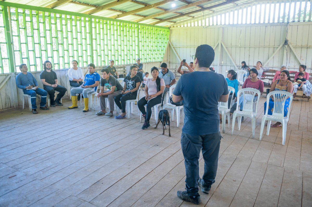 utplinvestiga's tweet photo. #BioAmaz (2025-2027) 🌱Proyecto que busca impulsar la bioeconomía inclusiva en comunidades amazónicas 🇪🇨, a través del uso sostenible de plantas nativas con potencial para producir aceites esenciales.
🤝Financiado por GCBC y liderado por @utpl con @TerrambienteEC y SEDEFA🌿 https://t.co/DPIPHf3DRl