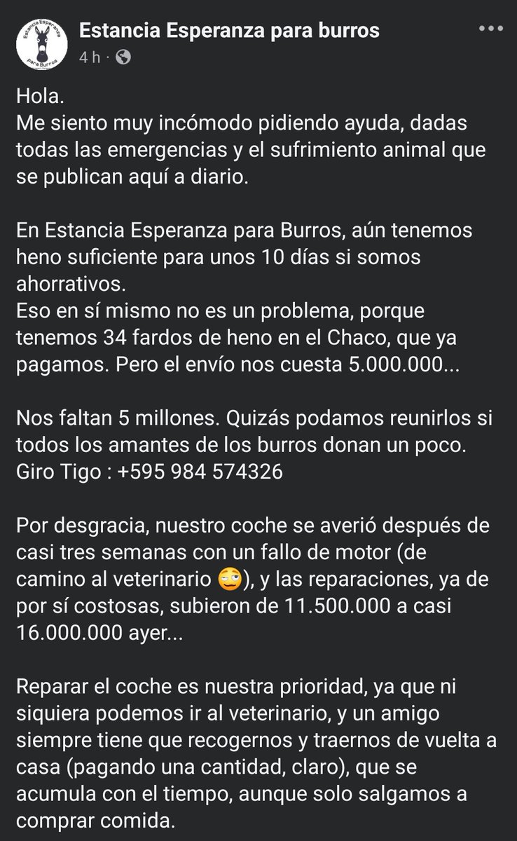 Salvando Hocicos Paraguay tweet media
