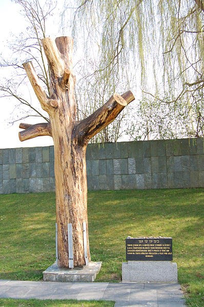 #DidYouKnow During the Holocaust Irma Lauscher &amp; her students planted a tree in Theresienstadt to celebrate Tu BiShvat.Though none of Irma's students survived,Irma returned after WWII to save a seedling of the tree.Saplings can be found all over world-including the Memorial Plaza