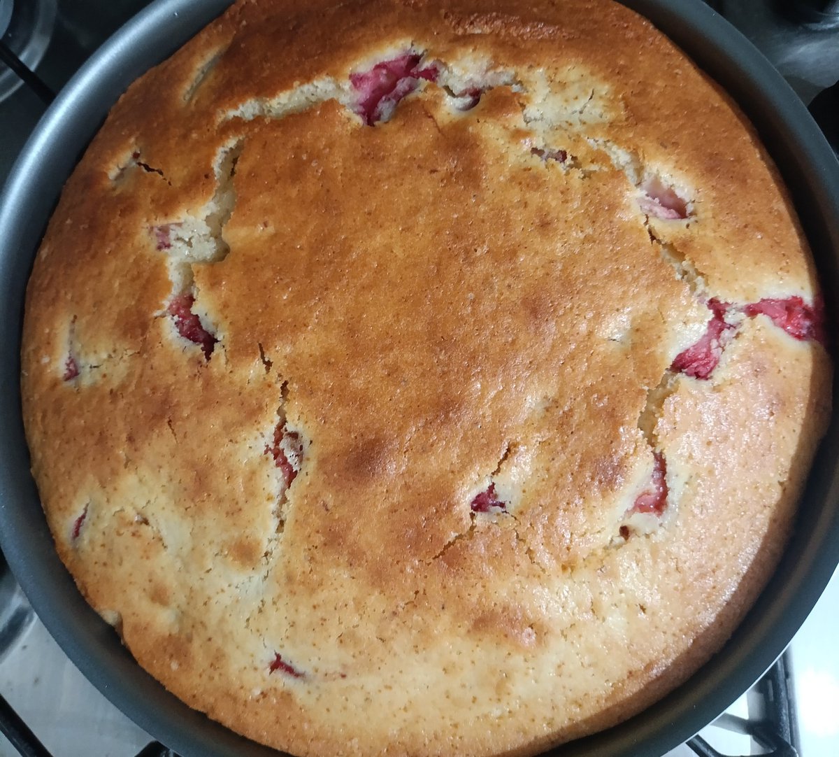 C2 seviye ev ve meyveli kek bağımlısı