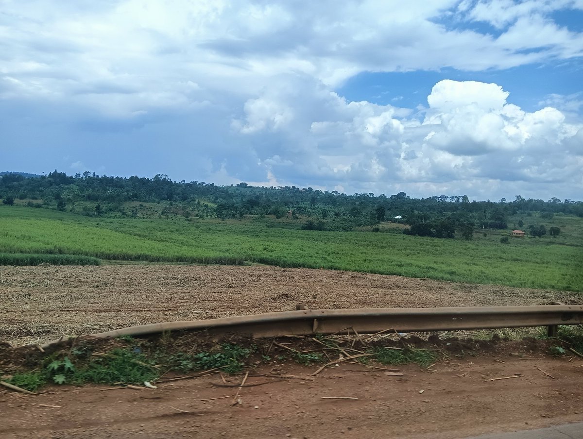 exitworker's tweet image. マタツ（ミニバス）でジンジャから首都カンパラへ。約100㌔、乗車３時間で1万ugx（400円）。車窓には紅茶やサトウキビ畑が広がる。到着地のカンパラのバスターミナルは一転してカオス。排ガスで喉痛い。#アフリカ縦断　#ウガンダ