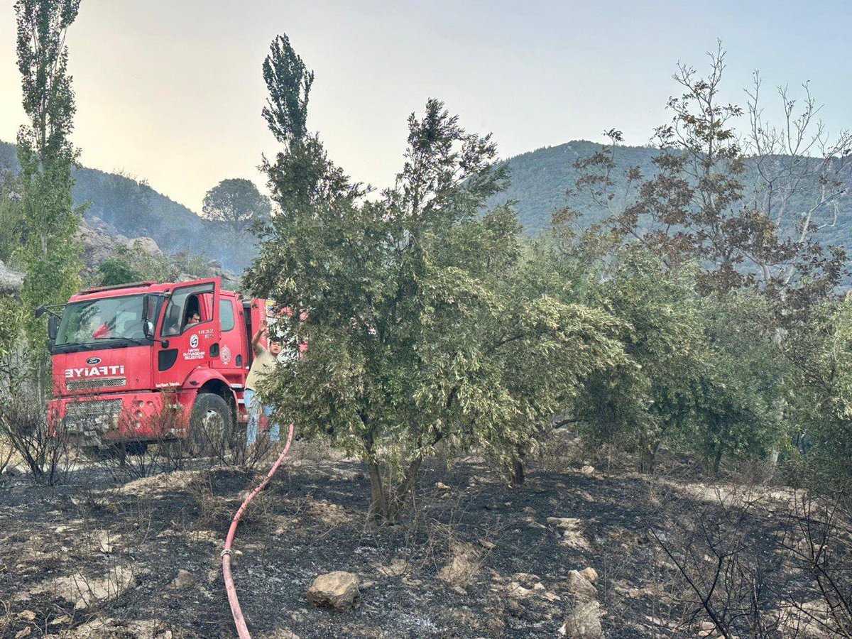 •Hassa’mızda Yukarıbucak mevkiinde, 

•Yayladağı’mızda Suriye Sınır Kapısı bölgesinde ve Çaksına Mahallesi’ndeki orman yangınlarına ekiplerin müdahaleleri devam ediyor.

•Kırıkhan’ımızda Bektaşlı Mahallesi’ndeki yangın kontrol altına alındı. Soğutma çalışmaları sürüyor.