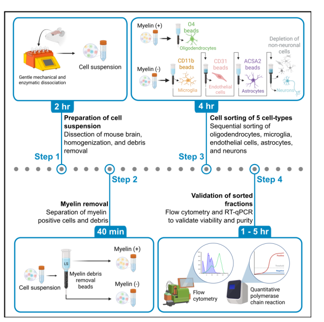 Ruslan Rust tweet media