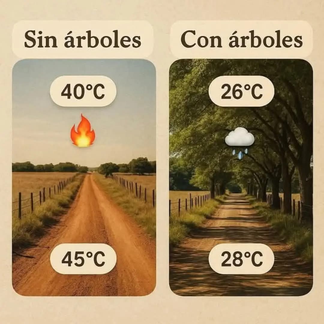 Raquel García (@raqueljoaira) on Twitter photo 