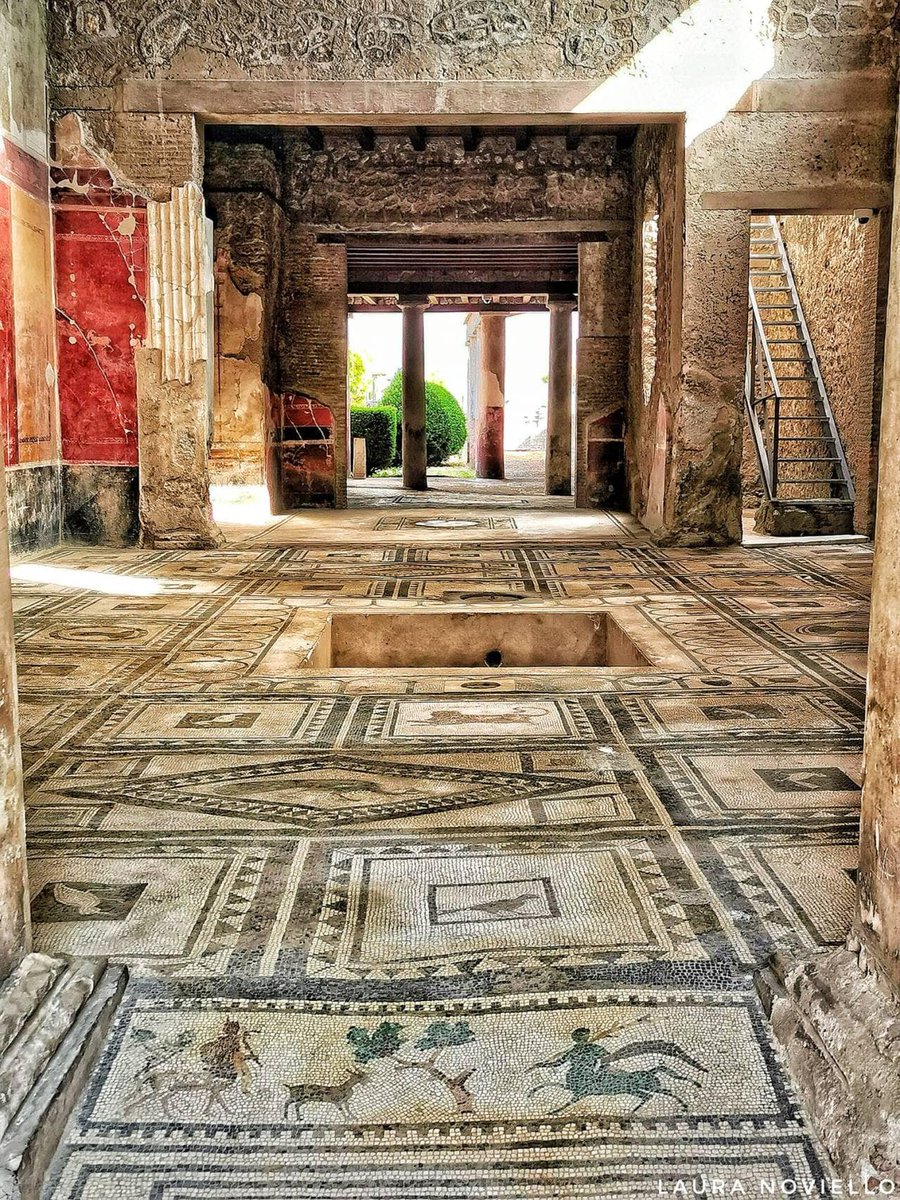 Muse (@xmuse_) on Twitter photo 2,000 years old beauty. Superb Roman mosaic floor in the House of Paquius Proculus, c. 30 BC – 20 AD. 2,000 years old beauty. Superb Roman mosaic floor in the House of Paquius Proculus, c. 30 BC – 20 AD.