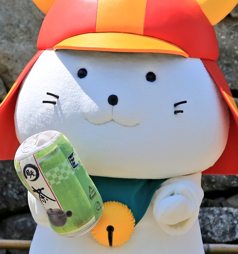 モチさんサイズのお茶〜🍵☀ひこにゃんも水分補給してね❣️