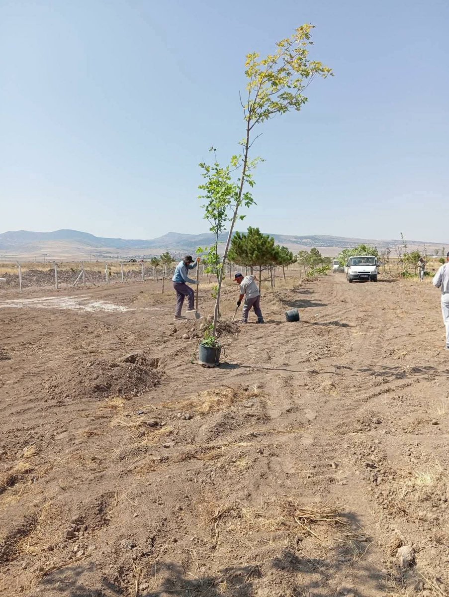🌳🌲🌳🌲🌳🌲🌳🌲🌳🌲🌳🌲🌳🌲🌳🌲

#AĞAÇLANDIRMA #SEFERBERLİĞİ 
#YANAN #ORMANLARIMIZIN #YERİNE 
AĞAÇ DİKİMİNE BAŞLAMALIYIZ 
BOŞ İŞLERLE BOŞ PROJELERE KONSERLERE FESTİVALLERE  PARA HARCAMANIN BİR ANLAMI YOK YAZIKTIR GÜNAHTIR İSRAFTIR