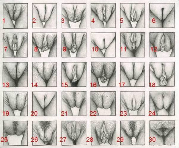 Yoruma seçimini yaparbilir misin? 
DM'den de yazabilirsin gözükmesini istemiyorsanız...🔞