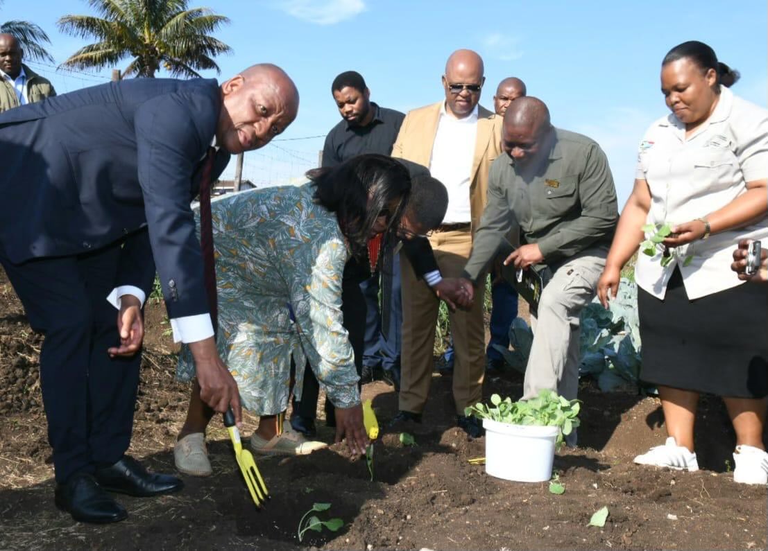 FOOD SECURITY 
Agriculture is not simply another economic sector. It is the foundation of food security, a pillar of rural livelihoods, and a strategic driver of our province’s inclusive growth agenda. <a href="/kzngov/">KZN Provincial Gov</a> <a href="/kzndard/">KZN DARD</a> <a href="/ADA_KZN1/">Agribusiness Development Agency</a>