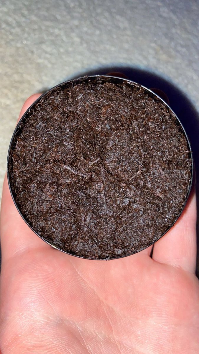 My god that body of yours is insane