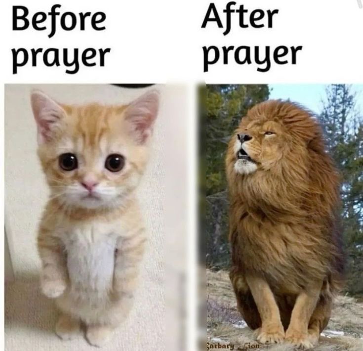 Talk Church (@churchtalkative) on Twitter photo 